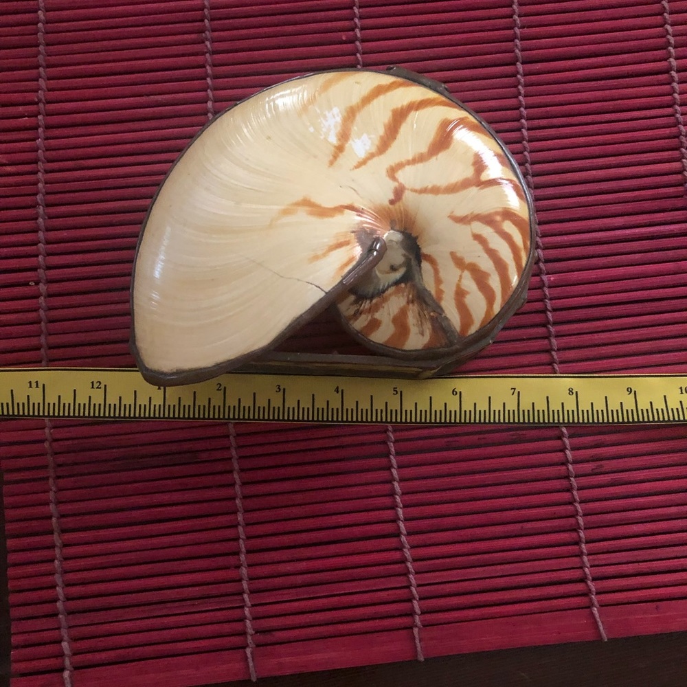 Shell box